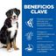 2 x 14 kg Hill's Science Plan Adult Large Cordero pienso para perros ¡Pack ahorro!, , large indicador imagen numero 4