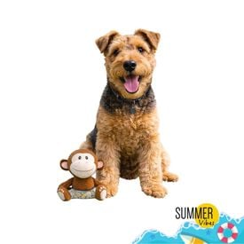 Summer Vibes Mono Dolce Vita  Peluche para perros