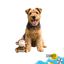 Summer Vibes Mono Dolce Vita  Peluche para perros, , large indicador imagen numero 6