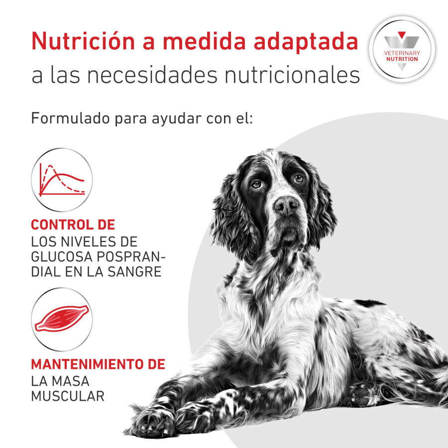 7 kg Royal Canin Veterinary Diabetic pienso para perros, , large Imagen numero 3
