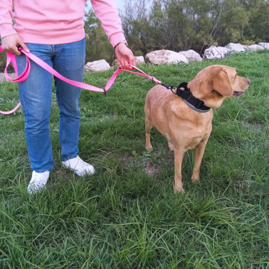 EGV - Correa multiposicion perro con doble asa de neopreno. Correa perro manos libres de 2,50 metros de longitud. (Rosa), , large Imagen numero 4