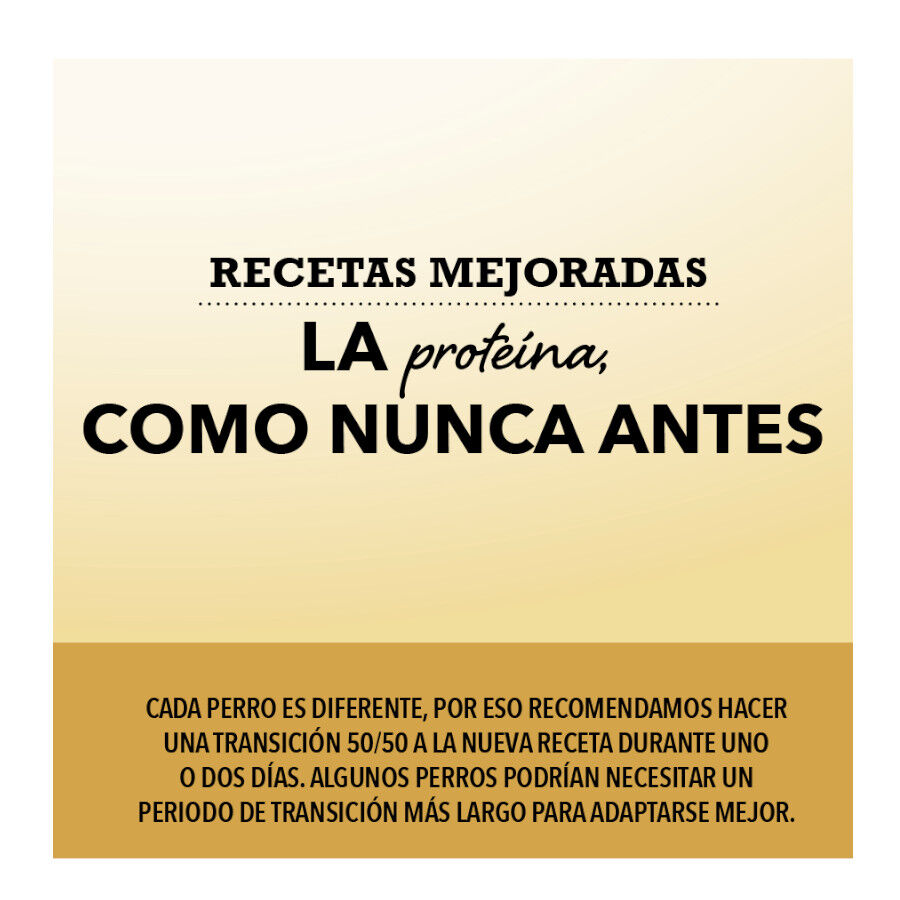 Acana HP Pacífica pienso para perros thumbnail