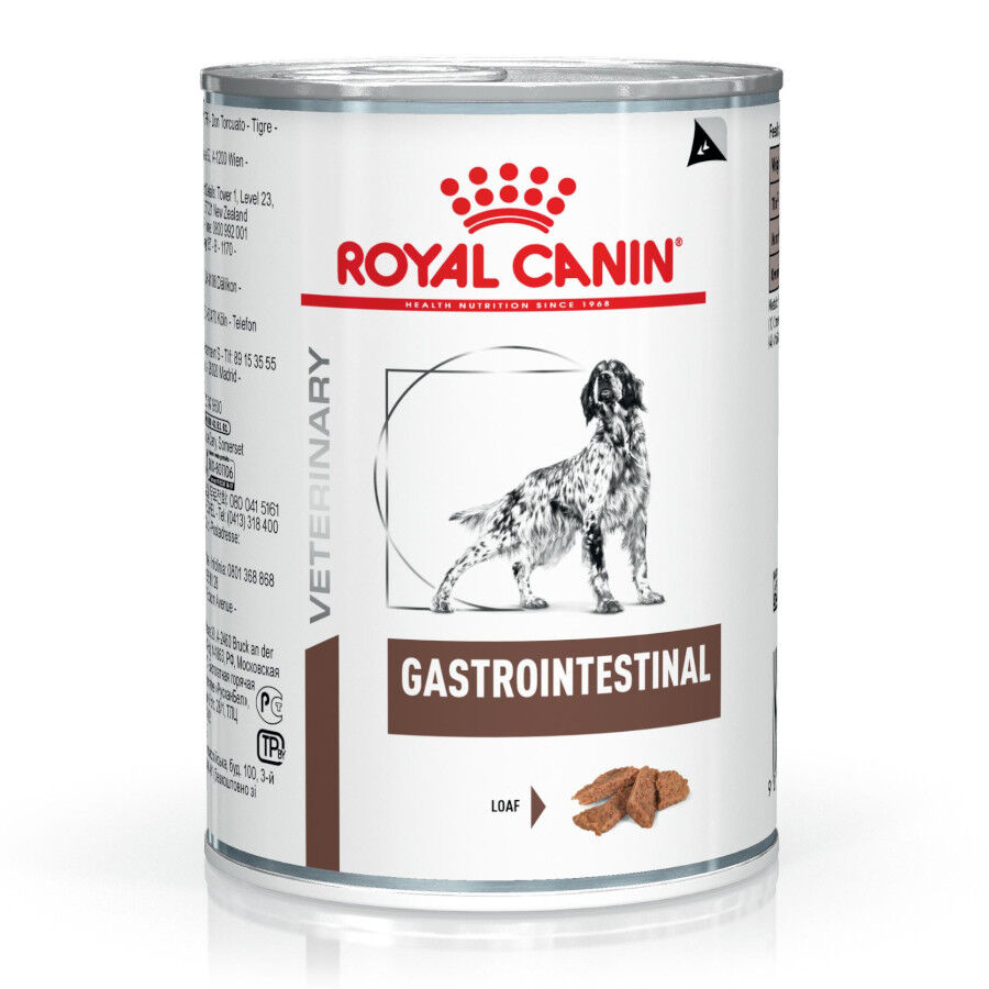 400 g Royal Canin Veterinary Diet Gastrointestinal lata para perros  , , large Imagen numero 2