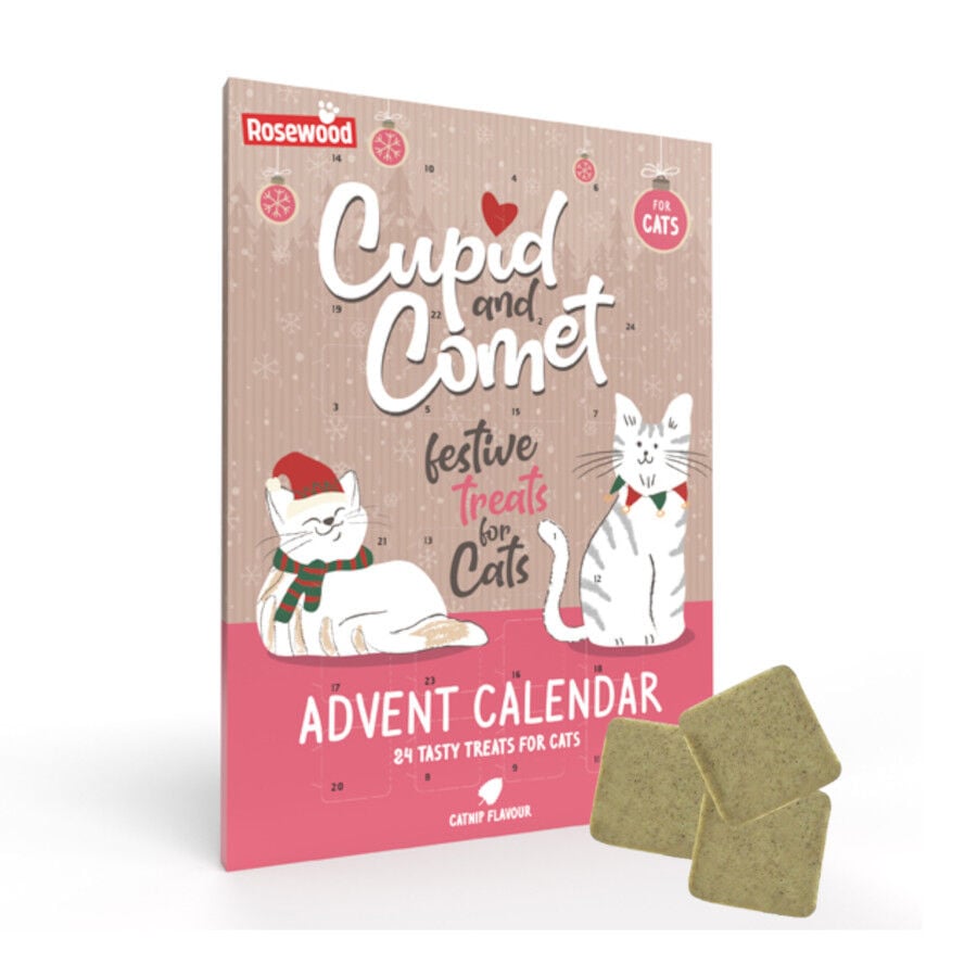 Rosewood Cupid&Comet Calendario de Adviento para gatos
