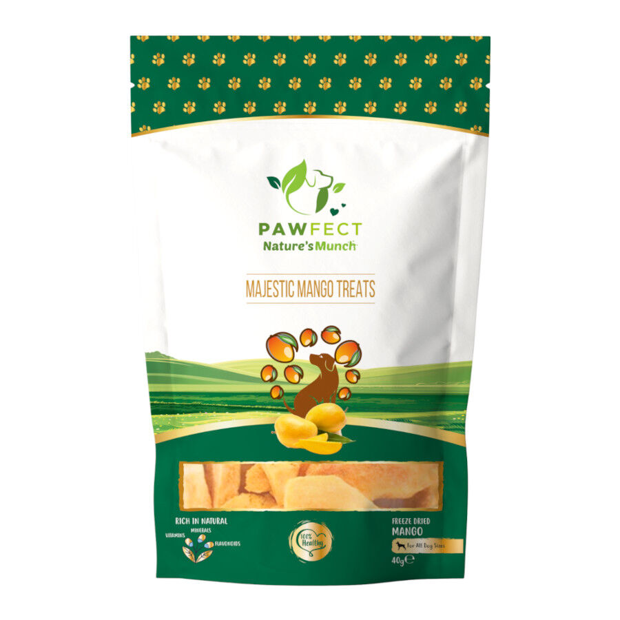 Delicias veganas de un solo ingrediente: mango (40 g/1,41 oz), , large Imagen numero 1
