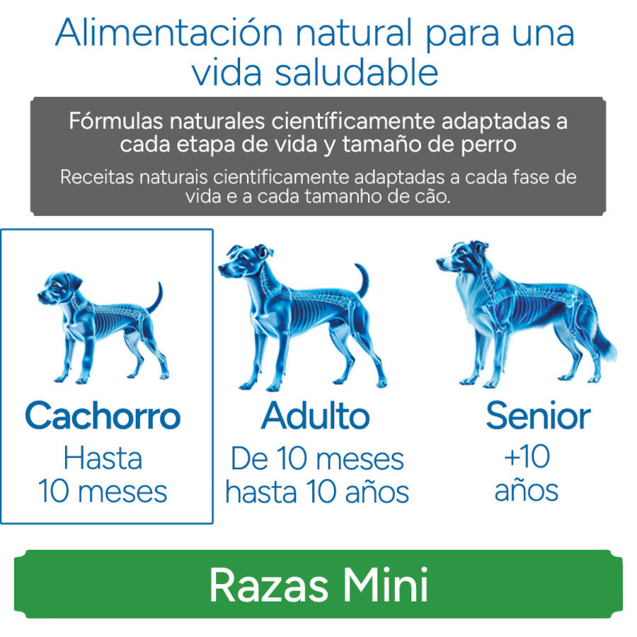 Criadores Cient&iacute;fico Mini Pienso Pollo para cachorros, , large Imagen numero 11