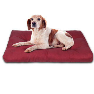 Home Mercury Colchón Rojo para Perros
