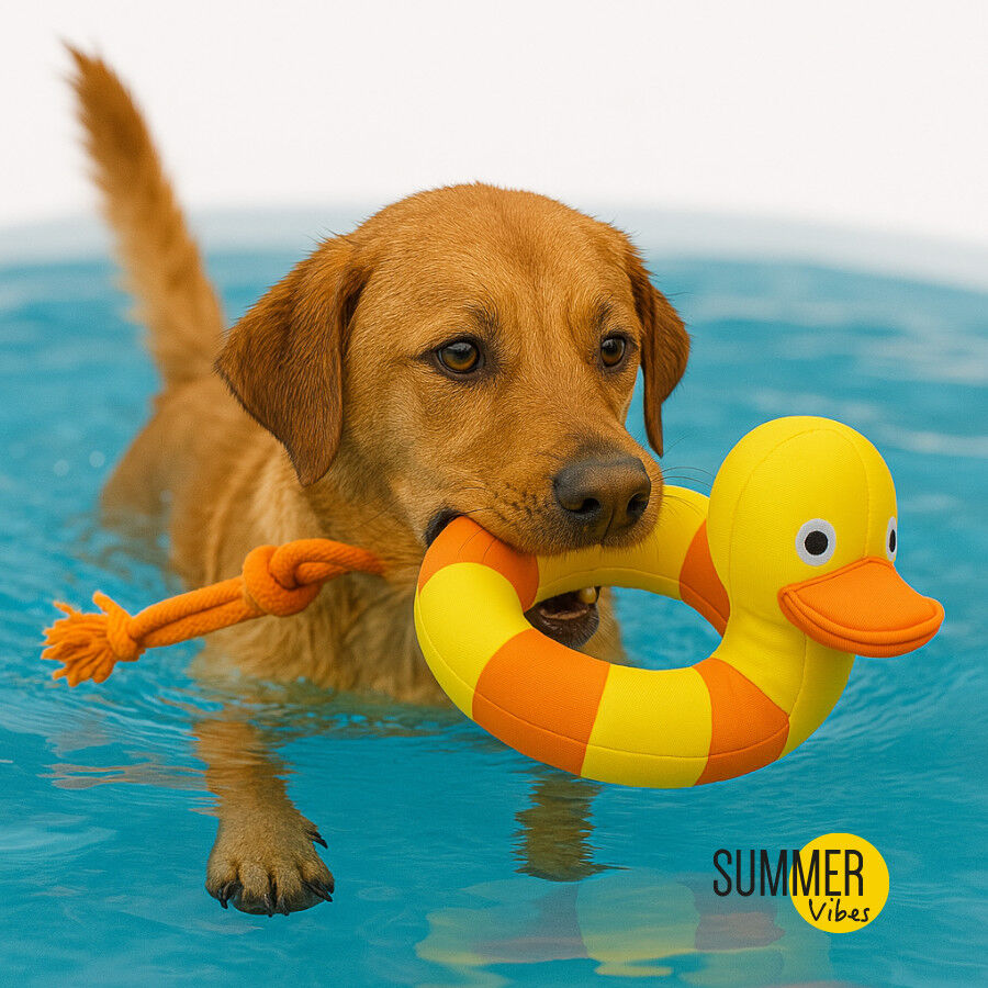 Summer Vibes Pato de juguete para perros, , large Imagen numero 2