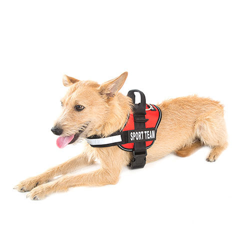 TK-Pet Himalaya para perros Imagen numero 1