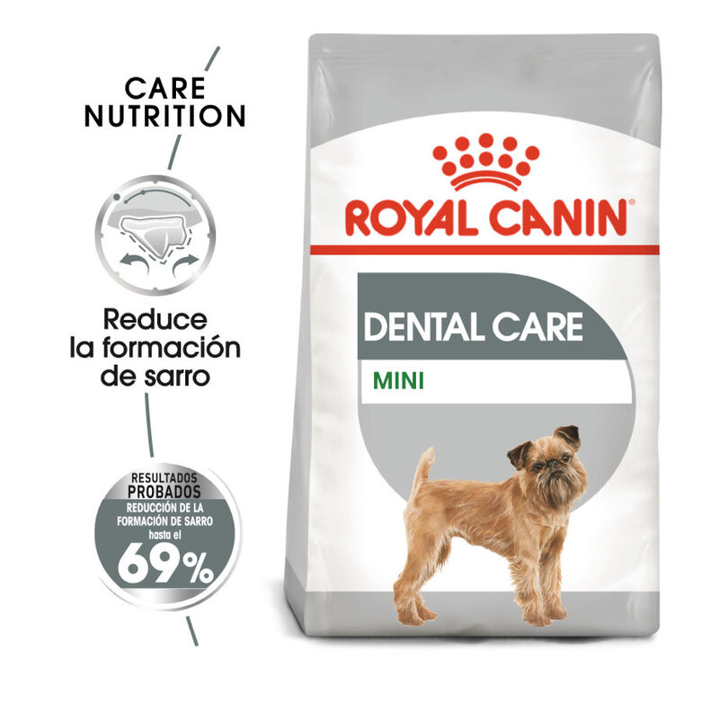 Royal Canin Dental Care Mini pienso para perros image number null
