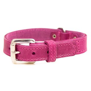 TK-Pet Namur Collar de Cuero Rosa para perros