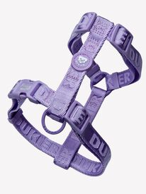 Arnés Clásico Violet (Essentials) M