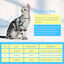 Nobleza - Chaleco de recuperación para Perros y Gatos, Traje de Recuperación Después de la Cirugía, Protector de heridas Abdominales, Recuperación Transpirable, para Gato y perros pequeños (Blue, L), , large indicador imagen numero 2