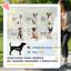 PawHut Cochecito para Perros Gris Claro, , large indicador imagen numero 4