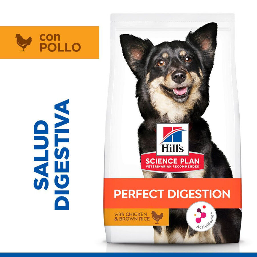 6 kg Hill's Science Plan Perfect Digestion Small y Mini Adult Pollo pienso para perros, , large Imagen numero 2