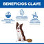 363 g Hill's Science Plan Perfect Digestion Adult Pollo lata para perros, , large indicador imagen numero 5