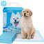 Nobleza - 100 x Empapadores Perros Alfombrilla higiénica de Entrenamiento para Perros. Ultraabsorbente 60cm*40cm, , large indicador imagen numero 11
