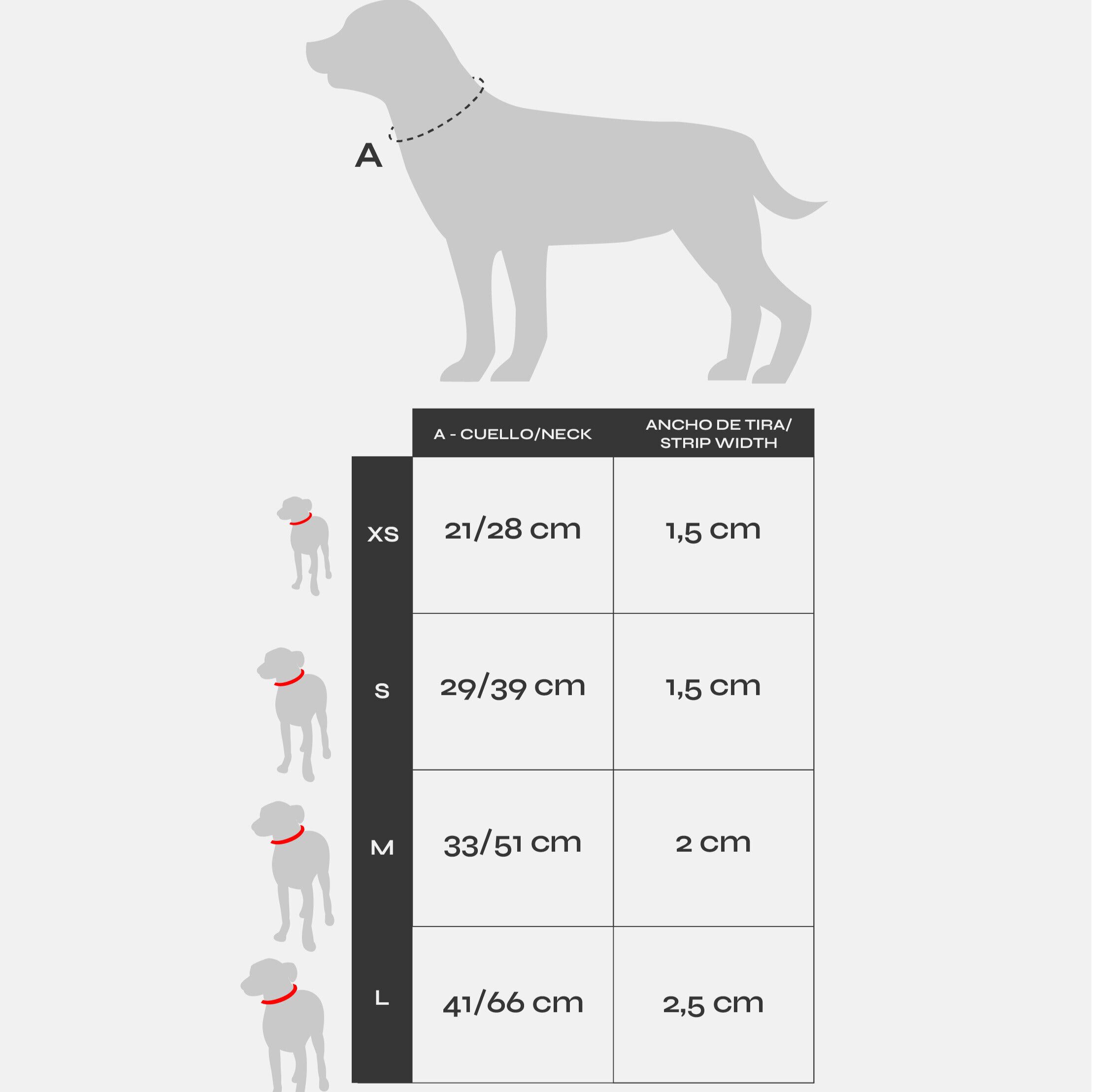 Collar Violet (Essentials) S, , large Imagen numero 5