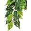Exo Terra ficus grande para reptiles y anfibios, , large indicador imagen numero 2