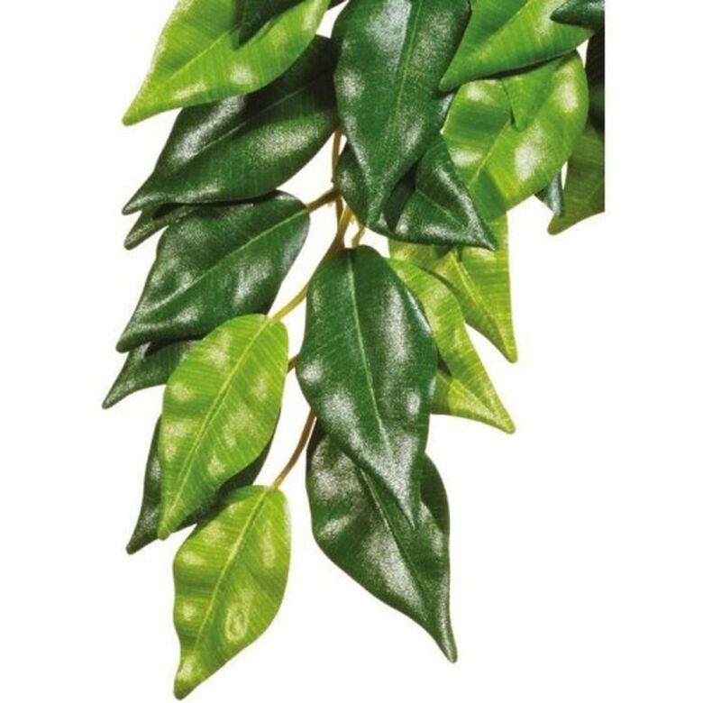 Exo Terra ficus grande para reptiles y anfibios thumbnail