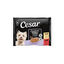 4 sobres x 100 g Cesar Carnes Mixtas Gelatina en Bolsita para Perros Senior , , large indicador imagen numero 1