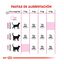 10 kg Royal Canin Adult Exigent Savour pienso para gatos, , large indicador imagen numero 6