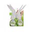 All for paws pelotas con plumas green russ, , large indicador imagen numero 1