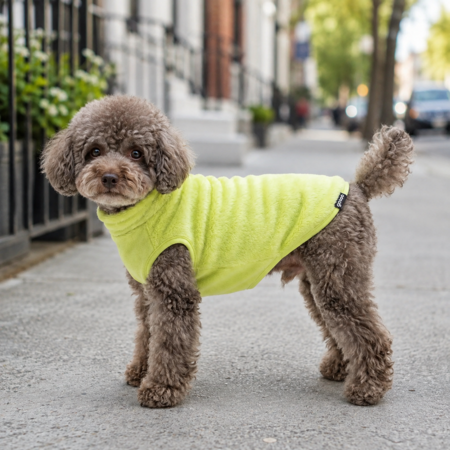 Gotoo Jersey Polar Verde Lima para perros, , large Imagen numero 1