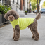 Gotoo Jersey Polar Verde Lima para perros, , large indicador imagen numero 1