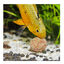 JBL Novotab Pastillas para peces, , large indicador imagen numero 4