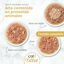 Catit Cuisine Fillet At&uacute;n Pack Variado, 12x75g, , large indicador imagen numero 2