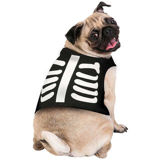 Guirca Disfraz de Esqueleto para perros halloween
