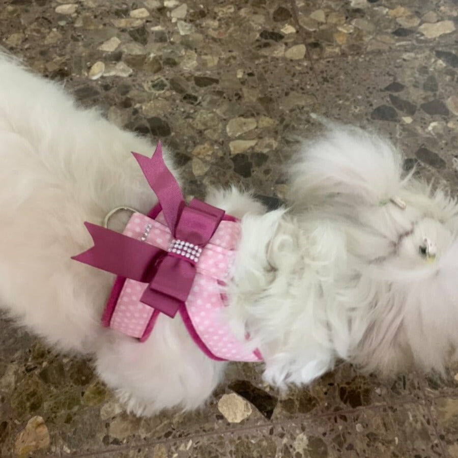 Ideal Pets, Vestido para perros, Rosa Malva, , large Imagen numero 2