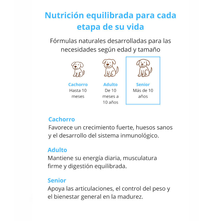 Fillip Mango Pienso Pollo para perros senior, , large Imagen numero 3