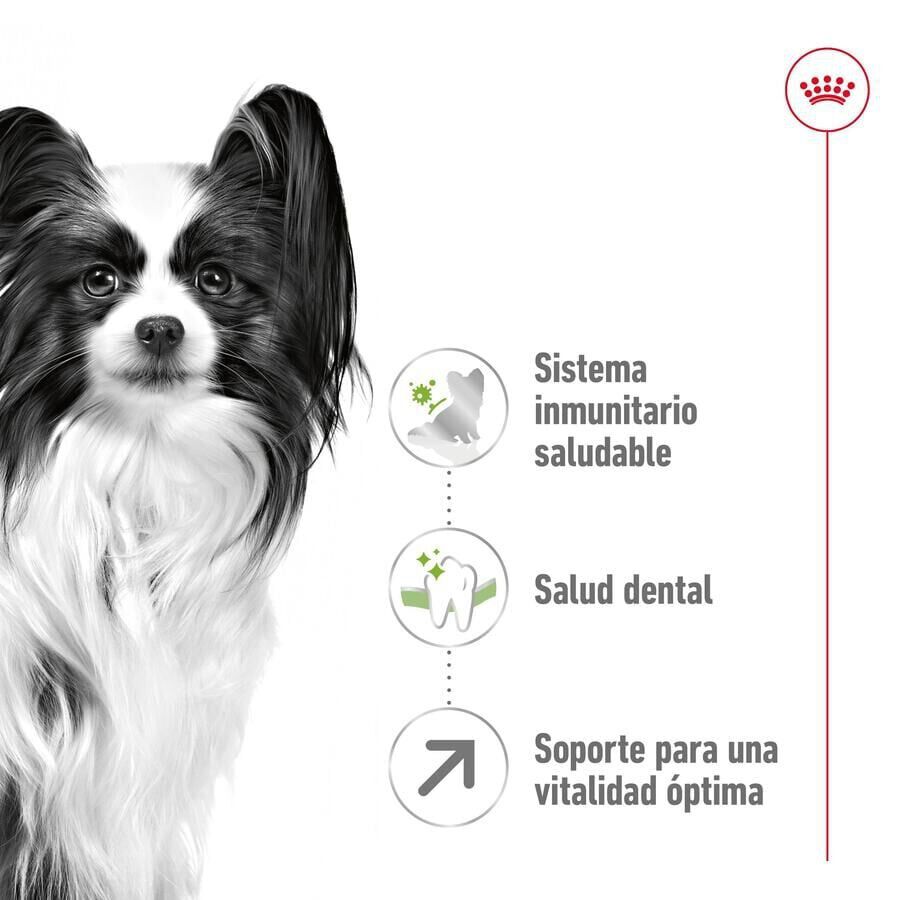 Royal Canin X-Small 8+ Mature pienso para perros thumbnail