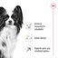 1.5 kg Royal Canin X-Small 8+ Mature pienso para perros, , large indicador imagen numero 5