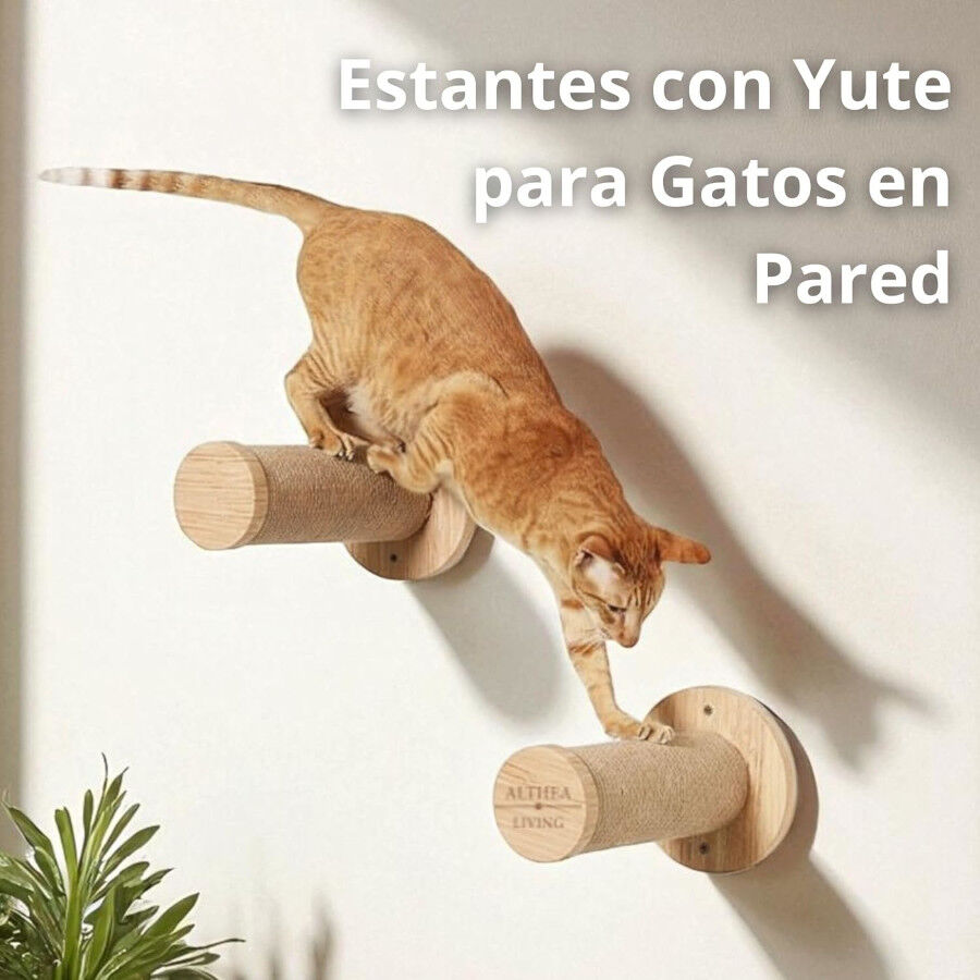 Althea Living - Estante de Escalada para Gatos Coral, set de 2 piezas, madera de roble y yute, , large Imagen numero 4