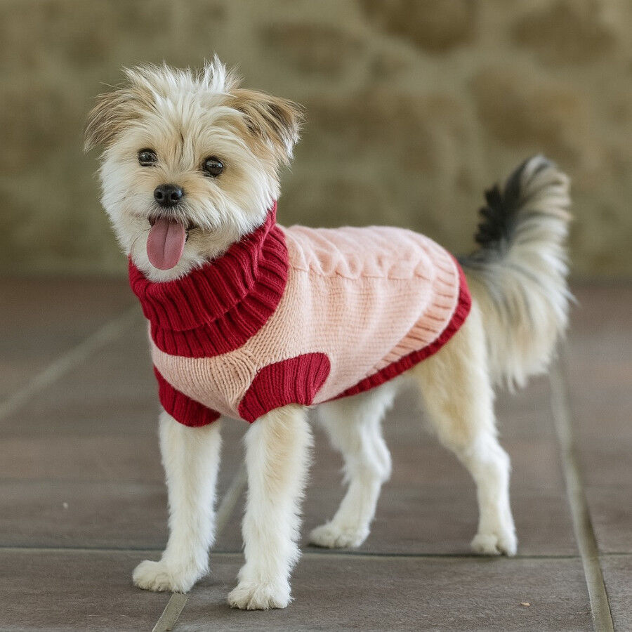 Freedog Jersey Elsinor para perros, , large Imagen numero 1