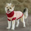 Freedog Jersey Elsinor para perros, , large indicador imagen numero 2