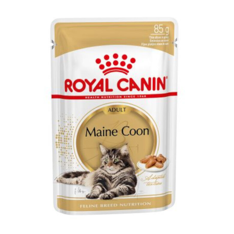 Royal Canin Maine Coon comida húmeda para gato adulto