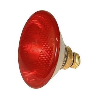 Bombilla Infrarrojos de 175 W, Bombilla Infrarrojos de 175 W