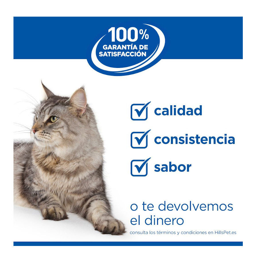 7 kg Hill's Science Plan Perfect Weight Adult pollo pienso para gatos, , large Imagen numero 10