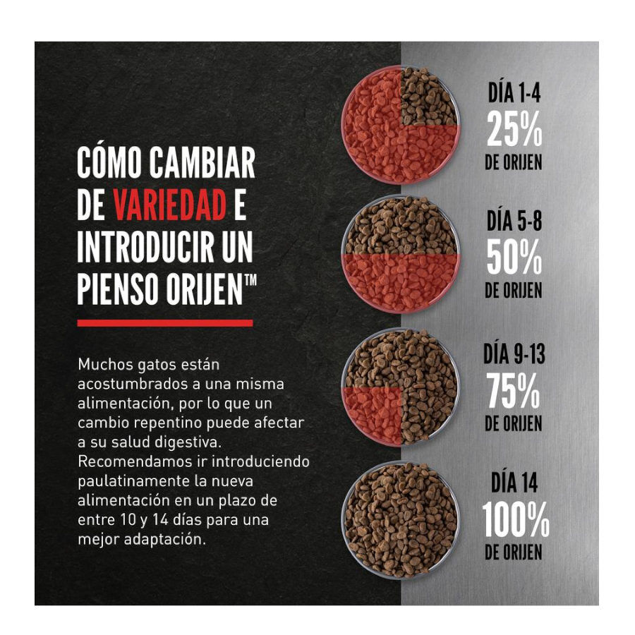 Orijen Six Fish pienso para gatos y gatitos thumbnail