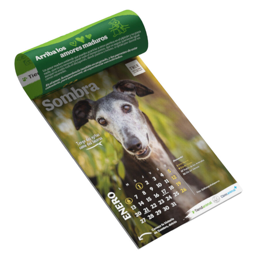 Tiendanimal Calendario Solidario, , large Imagen numero 3