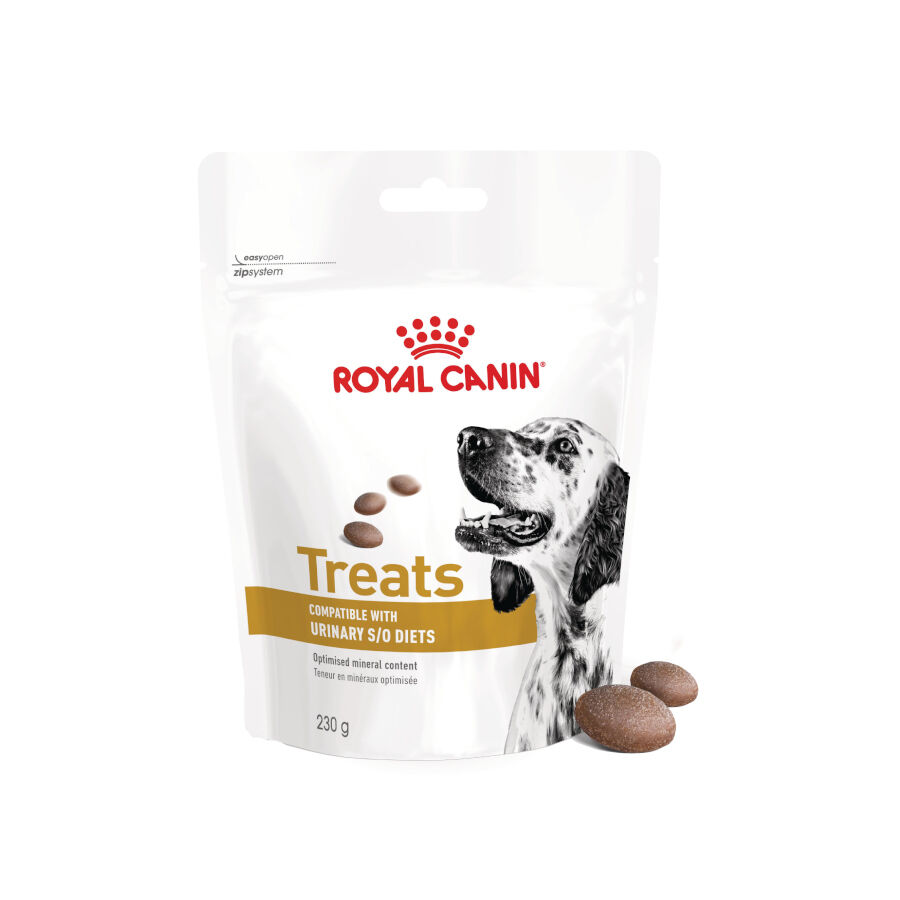 Royal Canin Treats Urinary Snacks para perros thumbnail