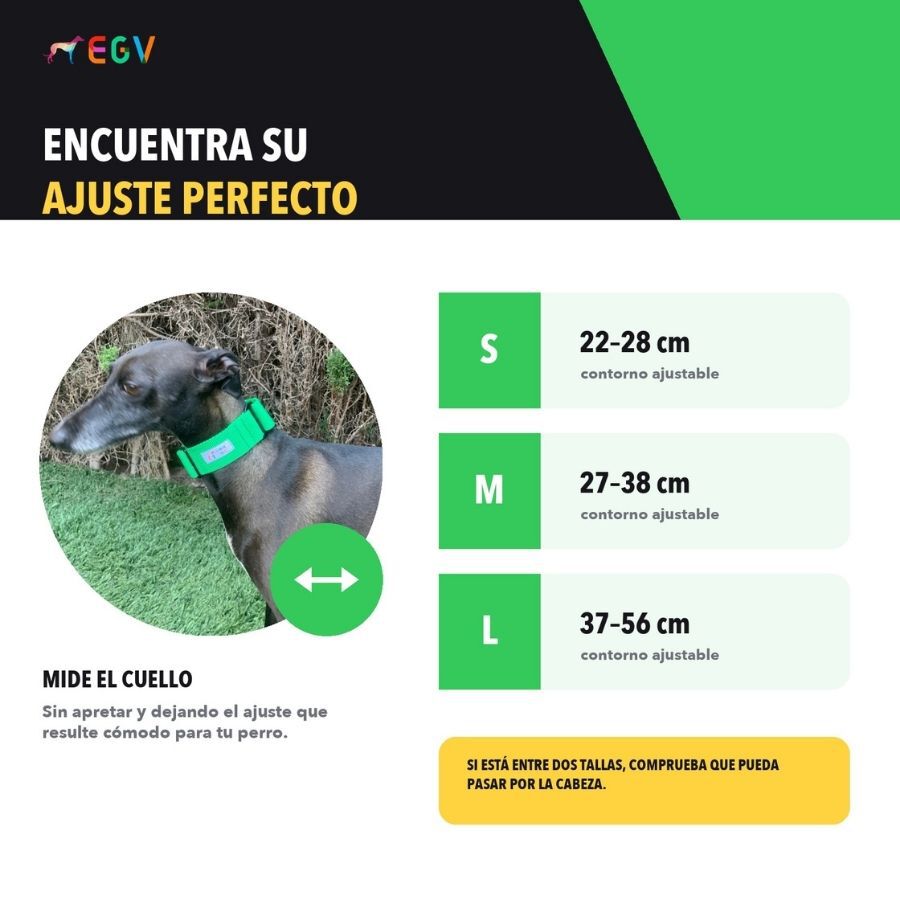 EGV - Collar Martingale. Collar galgo hecho a mano en Espa&ntilde;a (Verde), , large Imagen numero 5