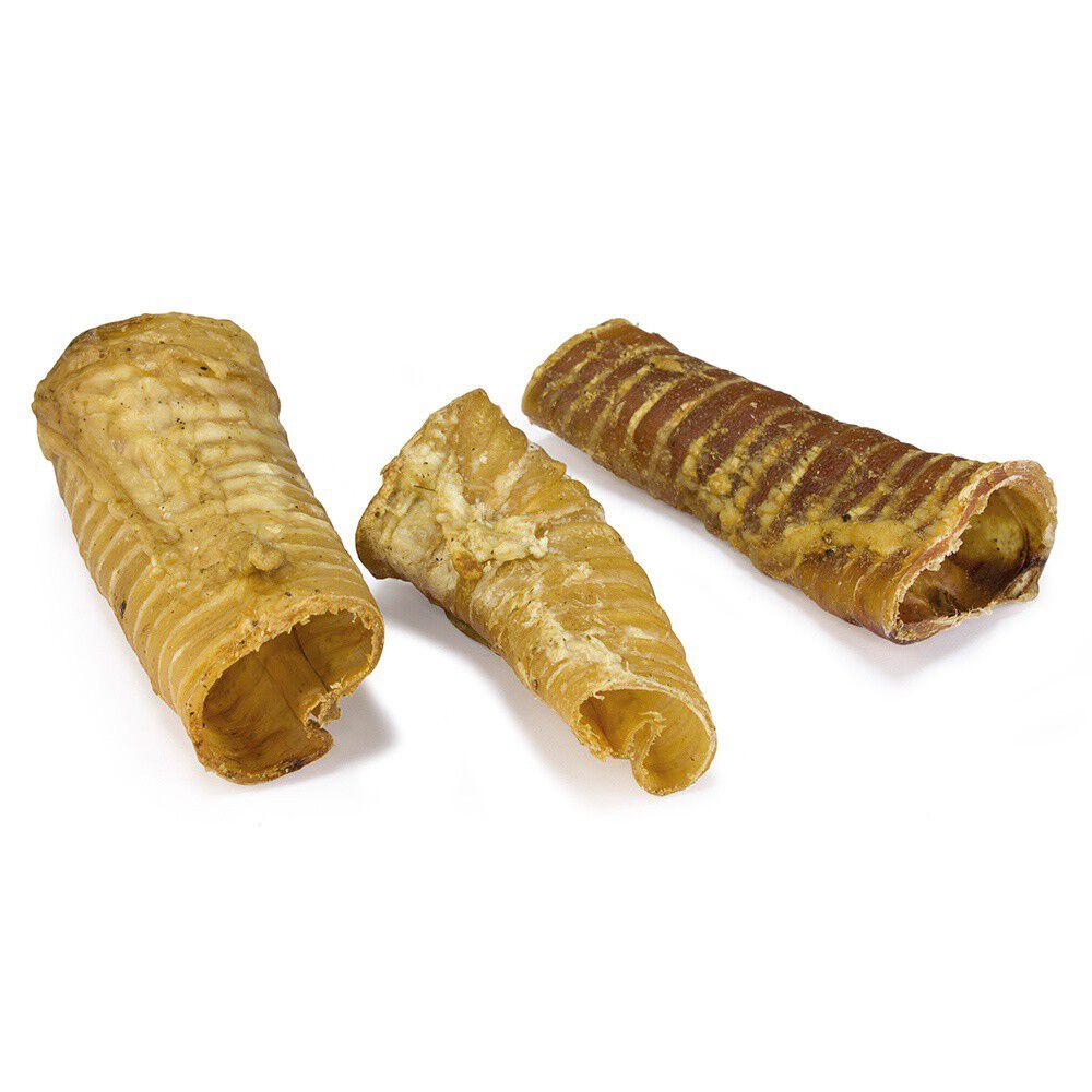 Tr&aacute;quea para perros sabor Neutro, , large Imagen numero 2