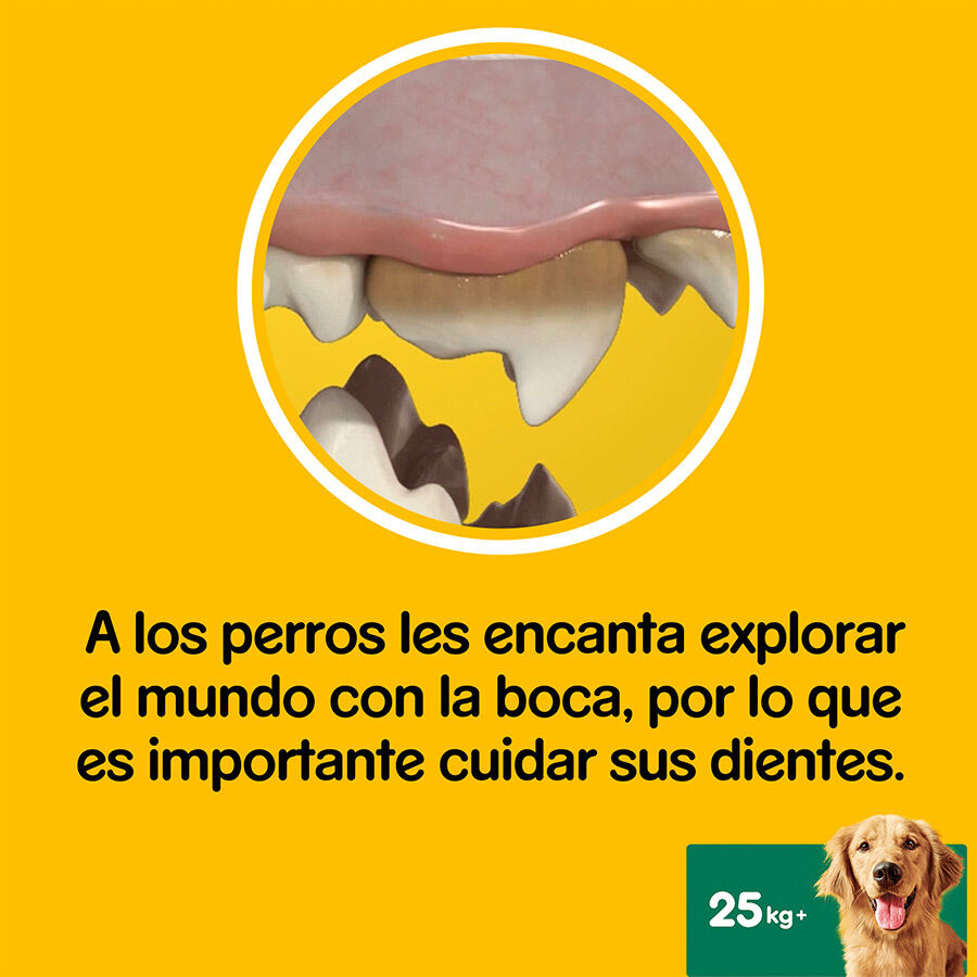 Pedigree Dentastix Snacks Dentales para perros grandes thumbnail