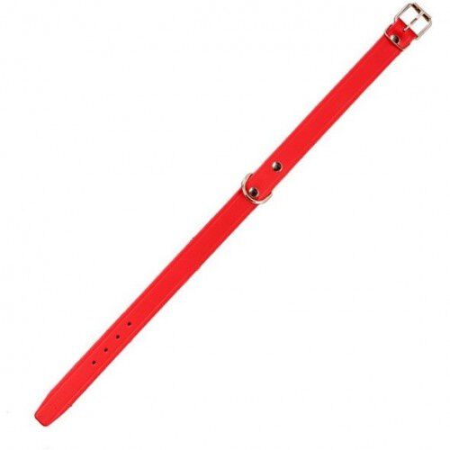 Arppe Amazone Collar para perros, , large Imagen numero 1