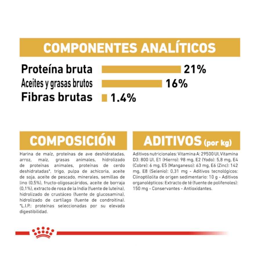 3 kg Royal Canin Adult White Terrier West Highland pienso para perros, , large Imagen numero 6